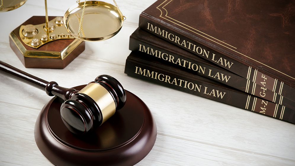 Immigration Law Header